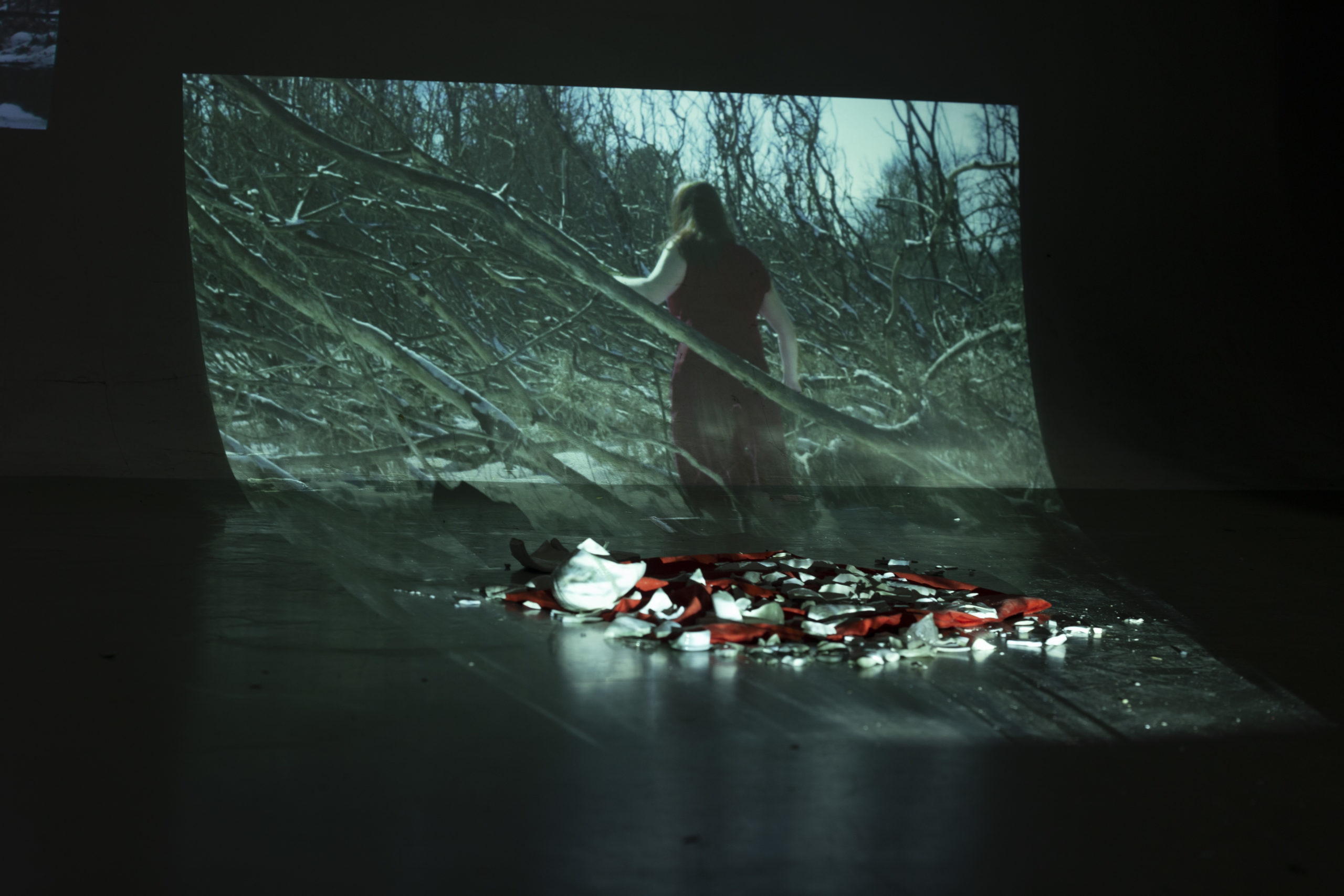 This image depicts the installation of the video"Red" 