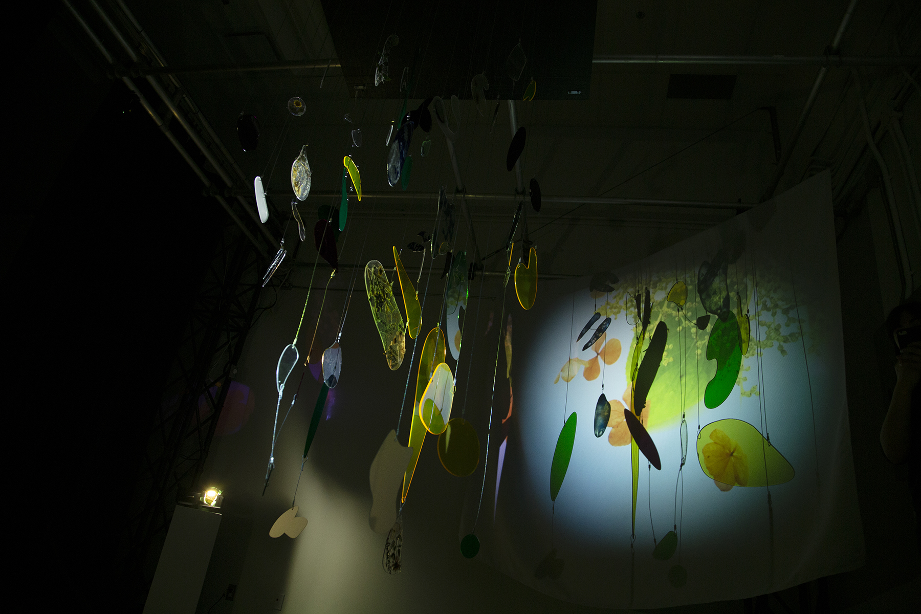 Installation photo depicting colourful shadows cast by the sculpture