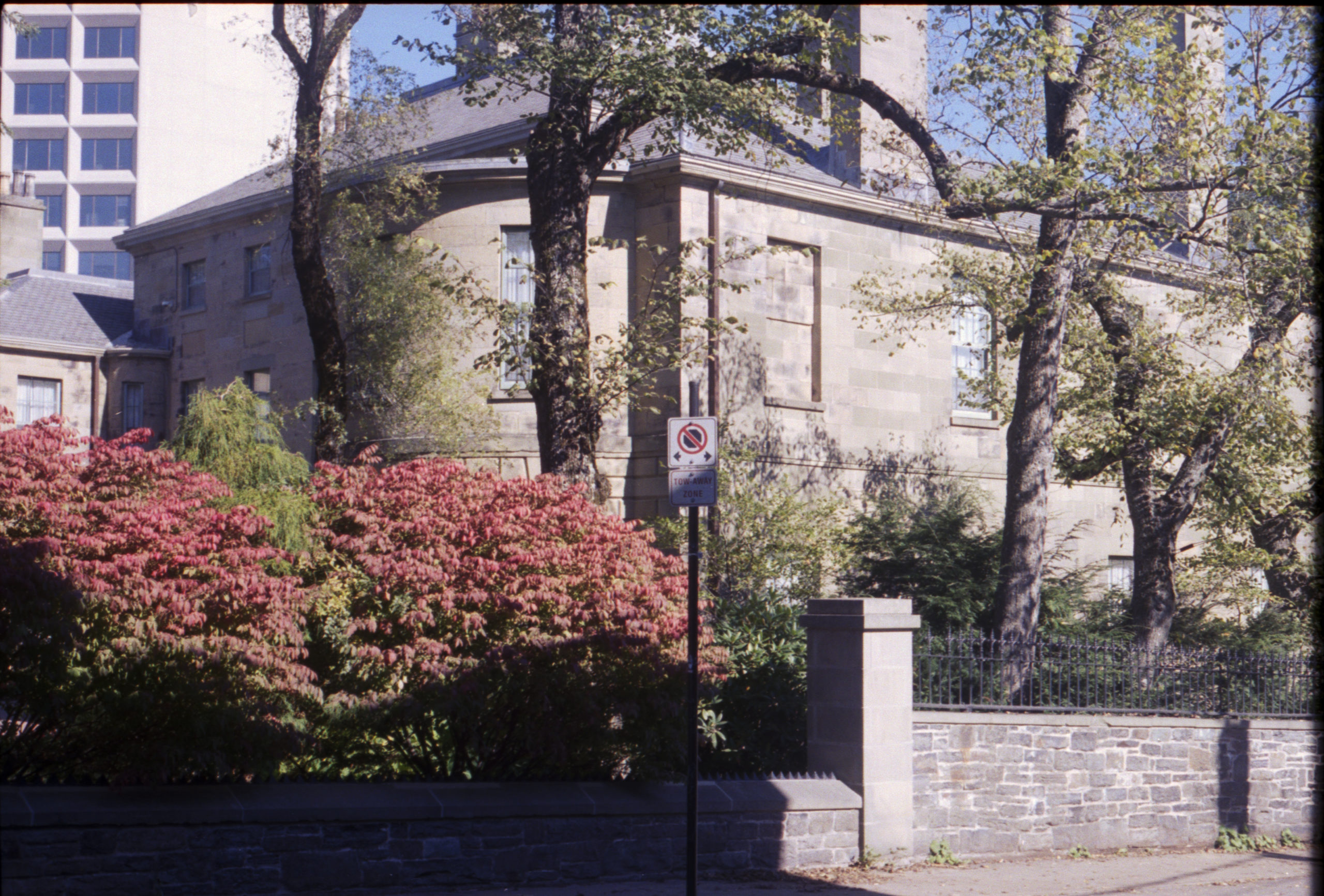Photo of a pleasing building in the sun, next to a red bush